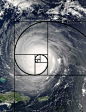 自然界神奇黄金螺旋：飓风云图与银河极相似_   飓风、银河系、向日葵和人的耳朵的共同特点是什么？看似毫无关联，但实际上它们都有着与“黄金螺旋”几乎吻合的形状，“黄金螺旋”是人类通过计算得出的最完美的螺旋形状。将飓风的卫星云图和银河的形状摆放在一起作对比，会发现它们有着惊人的相似性。