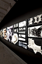 Venice Biennale 2012: Arum / Zaha Hadid