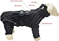 Amazon.com : Dogs Waterproof Jacket, Lightweight Waterproof Jacket Reflective Safety Dog Raincoat Windproof Snow-Proof Dog Vest for Small Medium Large Dogs Black XS : Pet Supplies