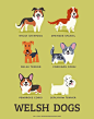 Adorable Drawings of Dog Breeds, Grouped By Their Place of Origin. (Ermagerd purpies!)