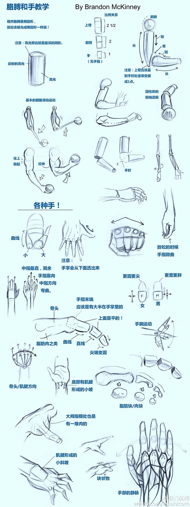 文章-【转载】【胳膊和手的教学】 | 半...