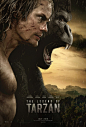 Extra Large Movie Poster Image for Tarzan