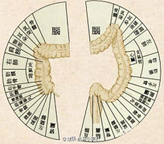 丢丢不忘yuxuan采集到未分类