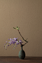 2012年5月14日（月）
5月の色といえば紫。
花＝藤（フジ）、躑躅（ツツジ）
器＝青銅王子形水瓶（六朝時代）