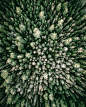 Tobias Hägg (@airpixels)的Instagram主页 | Tofo.me: Instagram网页版