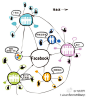 【Facebook的盈利模式】虽然是两年前的图片，但是还是很有启发和价值的
