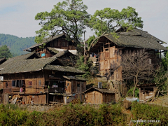 璁CONG采集到景