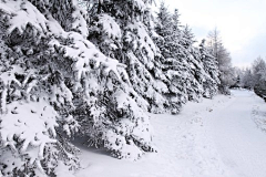 唯一让我心动的女生采集到雪