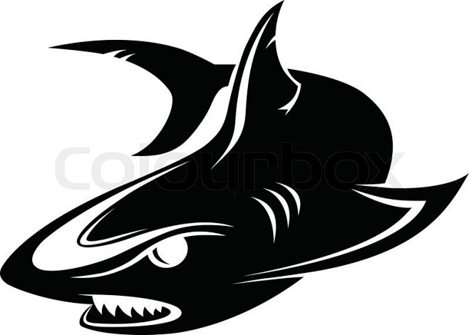 ORCA LOGO 的图像结果
