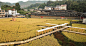 青石寨的稻亭和稻场，福建 / 个个世界+先进建筑实验室 : 一次稻田里的城乡共建