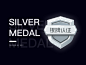 Medal_Silver Medal icon design