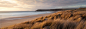 "North Tolsta Beach Sand Dunes sunrise Isle of Lewis Outer Hebrides" by Stocksy Contributor "Jason Denning"