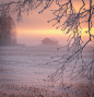 芬兰的冬日夕阳 ​​​​