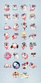 Telegram stickers -Water Pug on Behance