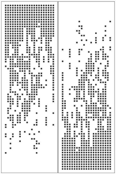 zk101采集到C排孔