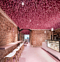 粉红色珊瑚礁为室内增添色彩 马德里面 设计圈 展示 设计时代网-Powered by thinkdo3