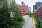 纽约高线公园（The High Line） | 灵感日报