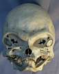 This skull which is clearly not human was found at a yard sale in Canada.