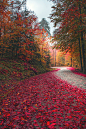 lmmortalgod:

Red spring by Zeki Seferoglu