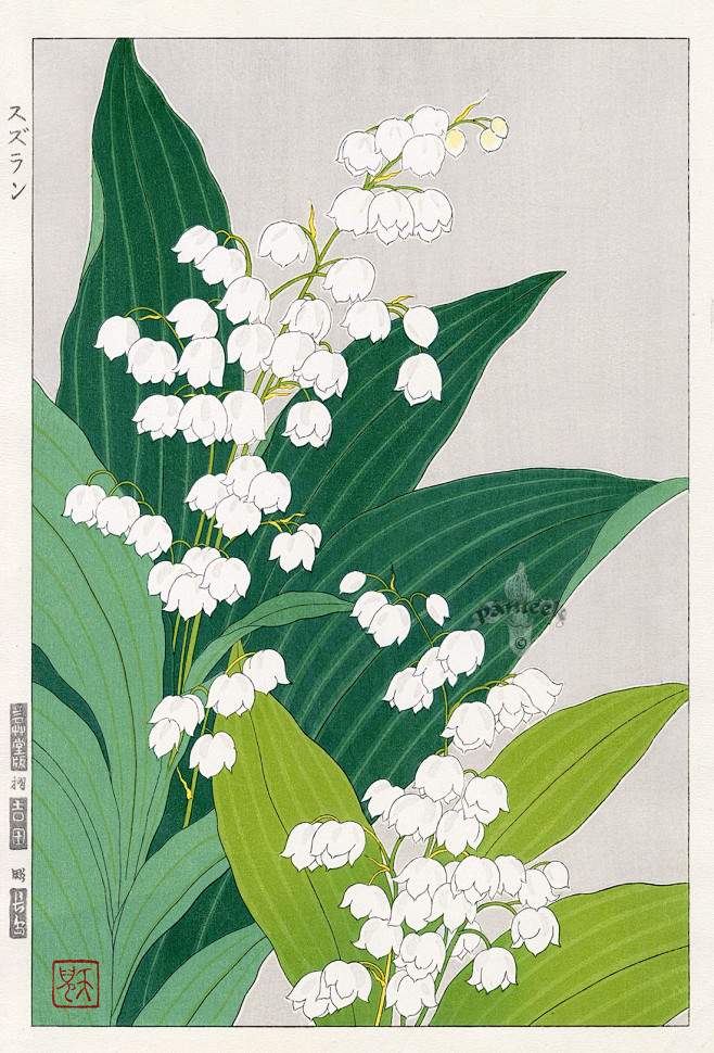 Lily of theValley by...