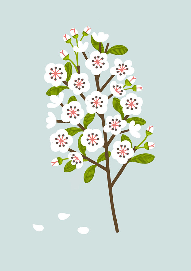 Blossom | Flickr - P...