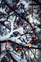 졸린 중국어 : ponderation:
“ Let it snow by Henri Maltio
”