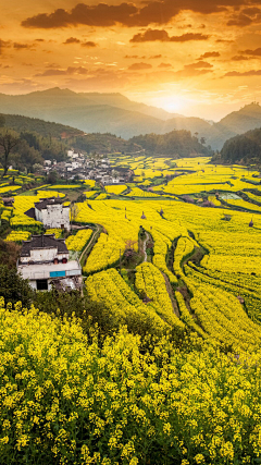 狐狸爱秋天采集到美景