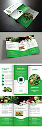 创意绿色有机食品三折页宣传单