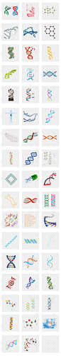 生物基因链模型分子结构PNG免扣素材