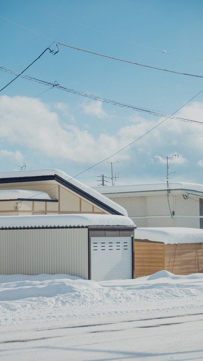 雪原 ❄️ 富良野 ​​​​