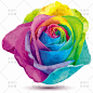 [编号228]水彩花朵热带植物玫瑰月季荷兰菊虞美人AI矢量卡片素材-淘宝网