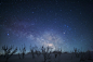 银河与野草 摄于日本长野 作者 masahiro miyasaka