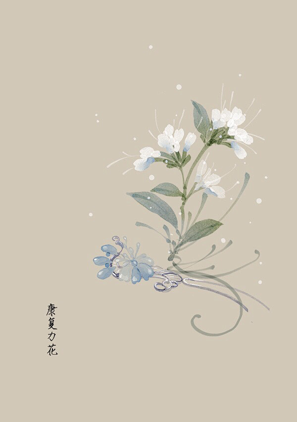 水彩 植物花卉 插画 artistic青...