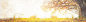 1920全屏海报背景 淘宝天猫banner背景 | 电商设计交流群：318860393