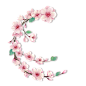 blossom_by_jaejade-d5xsfbk