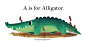 Zoe Persico的“A is for Alligator”