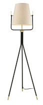 Aldina 62" Tripod Floor Lamp