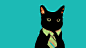 cats Black Cat tie business vector art business cat necktie neck collar - Wallpaper (#2783076) / Wallbase.cc