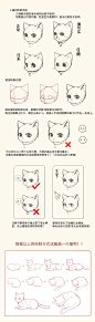 激萌猫咪的绘画教程~喵喵喵 How to draw a cute kitty！, chen zhan : 教你如何画激萌猫咪
从猫的身体结构到动态