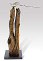 千姿百态的根雕艺术，将艺术的触角延伸到生活 (2) - 雕塑小品 - MT-BBS