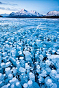 Bubbles in frozen lake