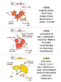 我来也_UP采集到Map地图表现