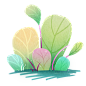 手绘植物 插画 PNG