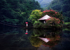 KeoH采集到（自然摄影）PHOTOGRAPHY