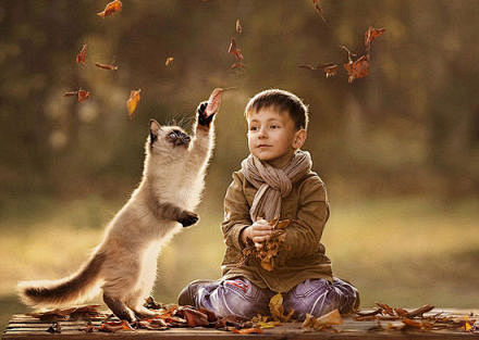 俄罗斯摄影师埃琳娜用镜头捕捉孩子和动物相...