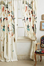 It's not that they go with anything. I am just totally, irrationally, irrevocably in love with these embroidered hummingbird curtains.