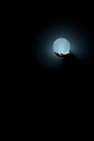 月球LED灯 带给日本一种信念的光
全球最好的设计，尽在普象网 pushthink.com