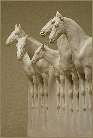 Magic of Horses. Equ...