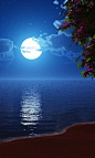 美丽的月亮在海