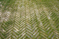 Grassy chevron pavers.